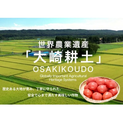 デリシャスファームのトマト(麗月) 4kg箱詰