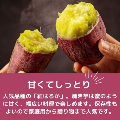 【訳あり!】さつまいも 紅はるか 10kg