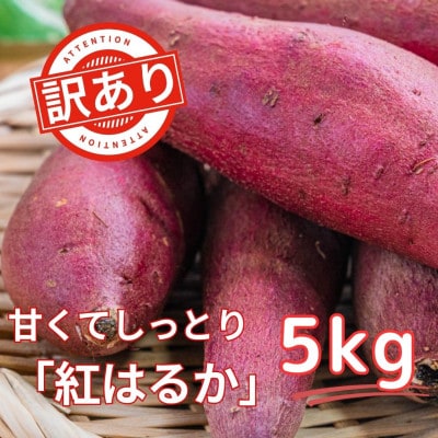 【訳あり!】さつまいも 紅はるか 5kg