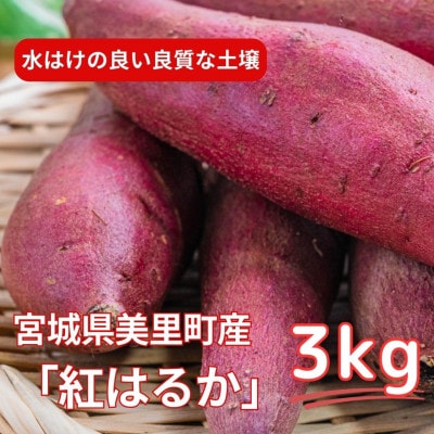 甘くてしっとり★さつまいも(紅はるか) 3kg