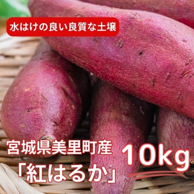 甘くてしっとり★さつまいも(紅はるか) 10kg