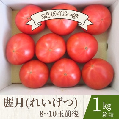 【糖度7度以上!】甘い★麗月トマト1kg