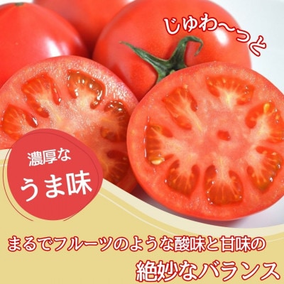 【糖度7度以上!】甘い★麗月トマト1kg