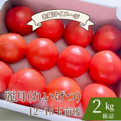 【糖度7度以上!】甘い★麗月トマト2kg