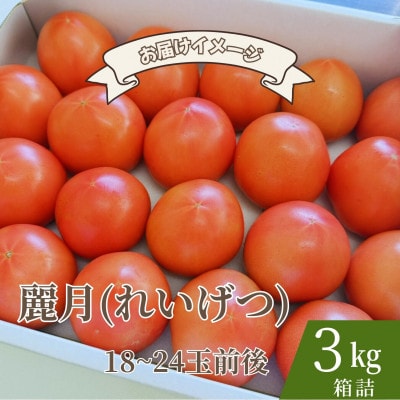 【糖度7度以上!】甘い★麗月トマト3kg