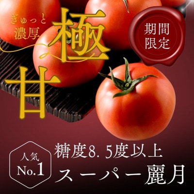 【糖度8.5度以上】極甘スーパー麗月 1kg(期間・数量限定)