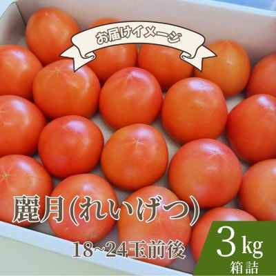 【糖度8.5度以上】極甘スーパー麗月 3kg(期間・数量限定)