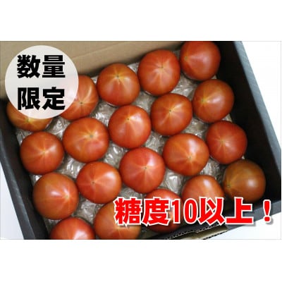 【糖度10度以上!】プレミアム麗月　1200g(15～20玉前後)