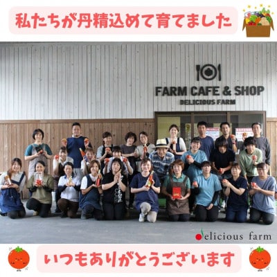【予約受付】カボチャ※6月上旬から順次発送!おためし!1.5kg(1玉)