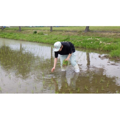 小牛田農林高校栽培米　精米　3kg