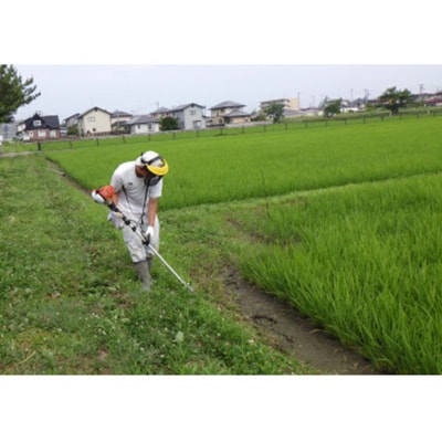 小牛田農林高校栽培米　精米　3kg