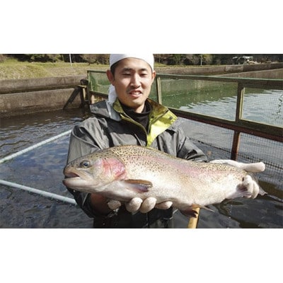 【丸1尾】栃木県のブランド魚「プレミアムヤシオマス」◆新鮮◆活け締め◆鮮魚◆鱒