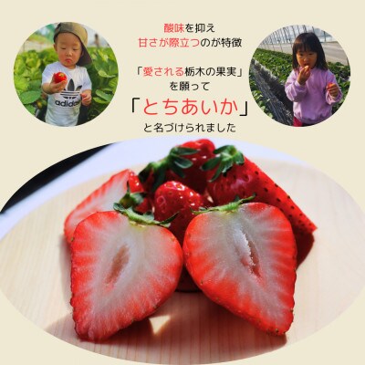 いちご王国栃木のNEW FACE!!大粒とちあいか600g