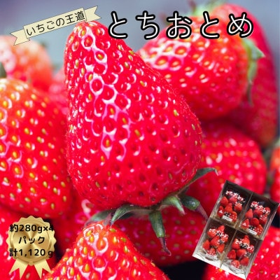 いちご王国栃木のとちおとめ[1箱/約280g×4パック]