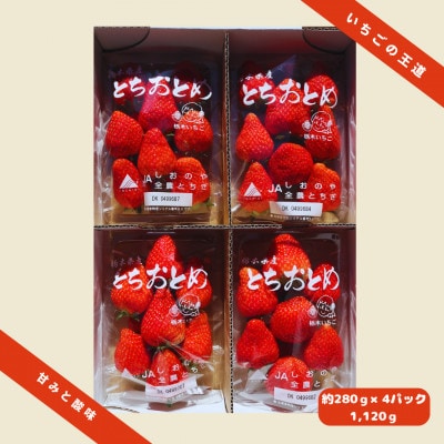 いちご王国栃木のとちおとめ[1箱/約280g×4パック]
