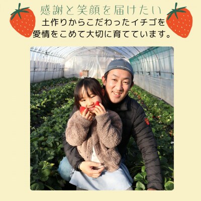 いちご王国栃木のとちおとめ[1箱/約280g×4パック]