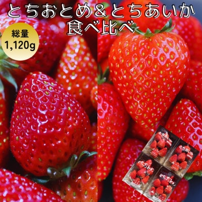 とちおとめととちあいかの食べ比べセット【2025年1月～順次発送】約280g×各2パック