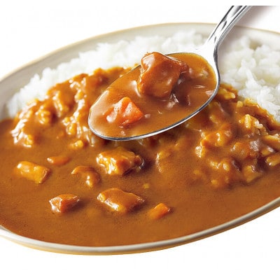 【毎月定期便】ココイチカレーBセット(ビーフ・ポーク各5個セット)計10個全3回