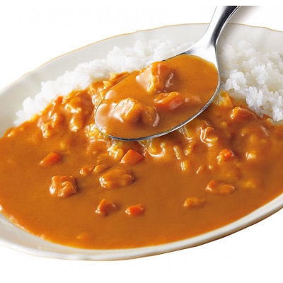 【毎月定期便】ココイチカレーEセット(ビーフ・ポーク・甘口各10個)計30個全3回