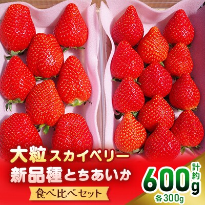 大粒スカイベリー&新品種とちあいか 食べ比べセット