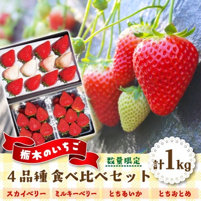 先行予約【数量限定】年末年始に順次お届け!栃木のいちご4品種　食べ比べセット