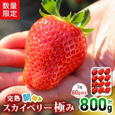[数量限定] 完熟朝摘みスカイベリー 極み 12粒