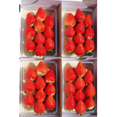 [訳あり] 栃木のいちご4品種食べ比べセット　1120g