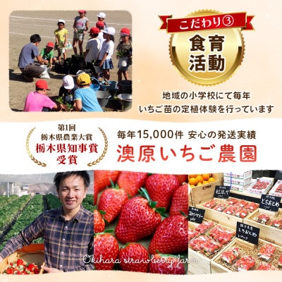 [数量限定] 完熟朝摘み 女峰 1040g 澳原いちご農園