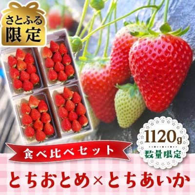 【さとふる限定】数量限定　とちおとめ×とちあいか　食べ比べセット　1120g