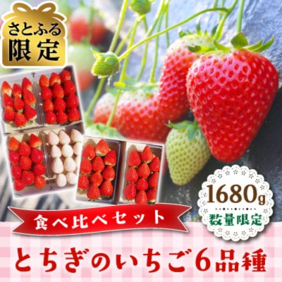 【さとふる限定】数量限定　とちぎのいちご　6品種食べ比べセット1680g