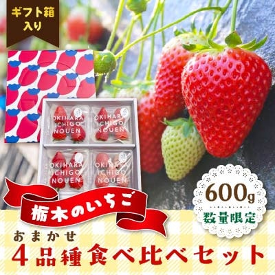 数量限定　栃木のいちご　おまかせ4品種　食べ比べセット　ギフト箱入り600g　2026年12月～発送