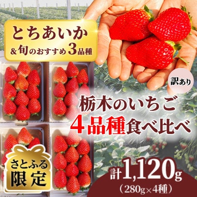 先行受付 訳あり 栃木県産 旬のいちご4品種食べ比べ 計1,120g(4パック)【さとふる限定】