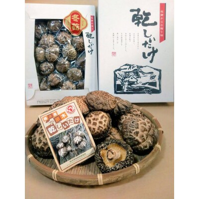 肉厚・厳選!原木育ちの上どんこ(260g)