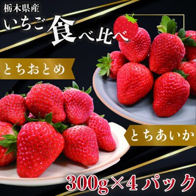 【2025年1月上旬より発送】とちおとめ×とちあいか　約300g×各2パック