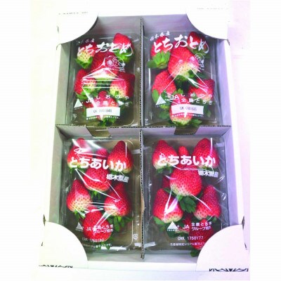 【2025年1月上旬より発送】とちおとめ×とちあいか　約300g×各2パック