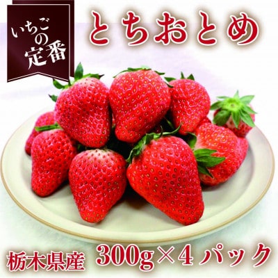 【2025年1月上旬より発送】とちおとめ　約300g×4パック