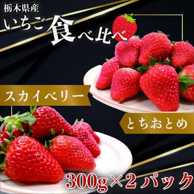 【2025年1月上旬より発送】とちおとめ×スカイベリー　約300g×各1パック
