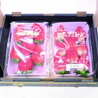 【2025年1月上旬より発送】とちおとめ×スカイベリー　約300g×各1パック