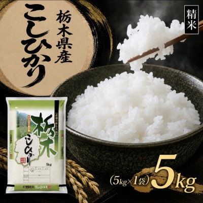 【令和8年産 新米】【食味鑑定士厳選】栃木県産 コシヒカリ 5kg(5kg×1袋)(矢板市)