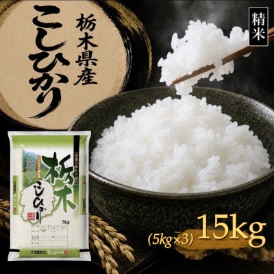 【令和8年産 新米】【食味鑑定士厳選】栃木県産 コシヒカリ 15kg(5kg×3袋)(矢板市)