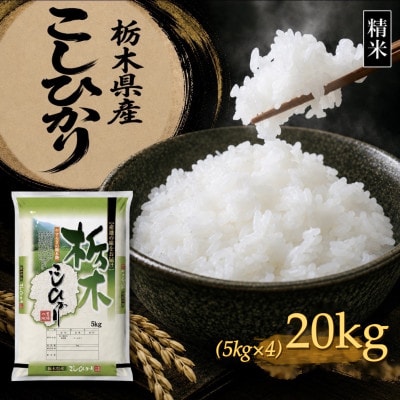 【令和8年産 新米】【食味鑑定士厳選】栃木県産 コシヒカリ 20kg(5kg×4袋)(矢板市)