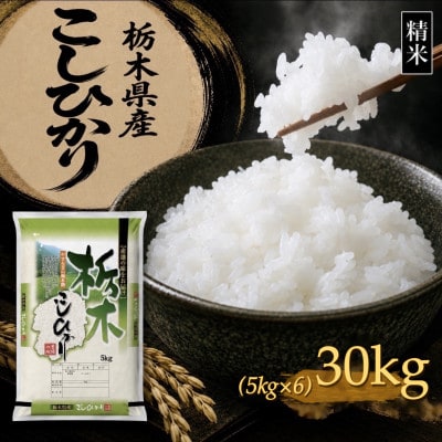 【令和8年産 新米】【食味鑑定士厳選】栃木県産 コシヒカリ 30kg(5kg×6袋)(矢板市)
