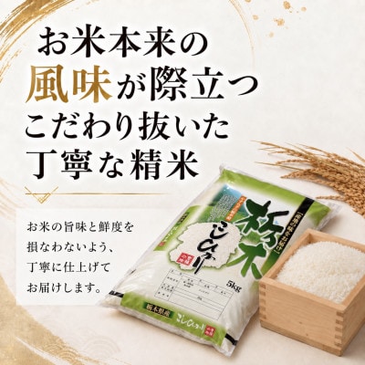 【令和8年産 新米】【食味鑑定士厳選】栃木県産 コシヒカリ 30kg(5kg×6袋)(矢板市)