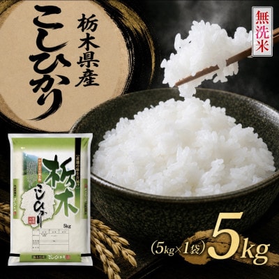 《無洗米》【令和8年産 新米】【食味鑑定士厳選】栃木県産コシヒカリ5kg(5kg×1袋)(矢板市)