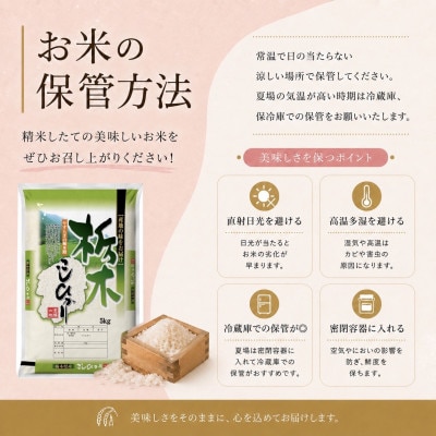 《無洗米》【令和8年産 新米】【食味鑑定士厳選】栃木県産コシヒカリ20kg(5kg×4袋)(矢板市)