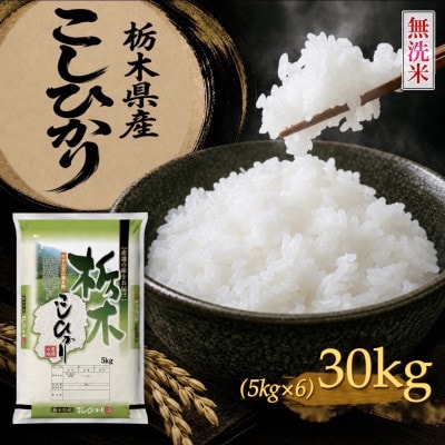 《無洗米》【令和8年産新米】【食味鑑定士厳選】栃木県産コシヒカリ30kg(5kg×6袋)(矢板市)