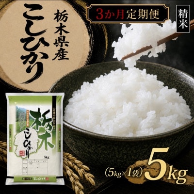 【毎月定期便】【食味鑑定士厳選】栃木県産 コシヒカリ 5kg(5kg×1)(矢板市)全3回
