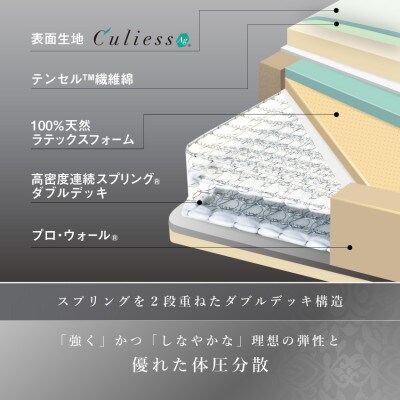 フランスベッド　マットレスのみ　シングル　LTレガシーハード