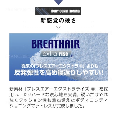 フランスベッド　マットレスのみ　シングル　DD-BAE-ロイヤル