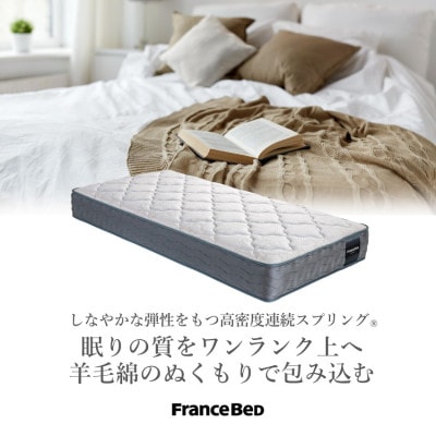 フランスベッドセットシングル　N-2000　フレーム脚付きタイプカラー選択